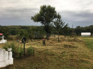 Cimitirul copiilor morți în „Orfelinatul groazei” din Siret, igienizat în urma unui articol din „Monitorul de Suceava”