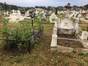 Cimitirul copiilor morți în „Orfelinatul groazei” din Siret, igienizat în urma unui articol din „Monitorul de Suceava”