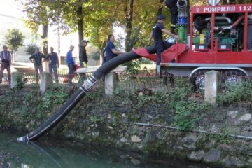Lacul din parcul Alexandru Sahia a intrat într-un proces de salubrizare