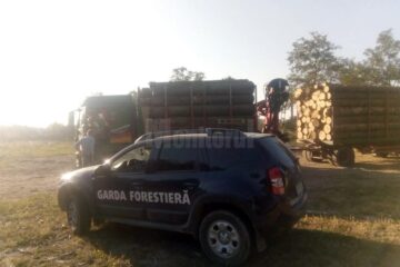 Lemne confiscate de Garda Forestiera