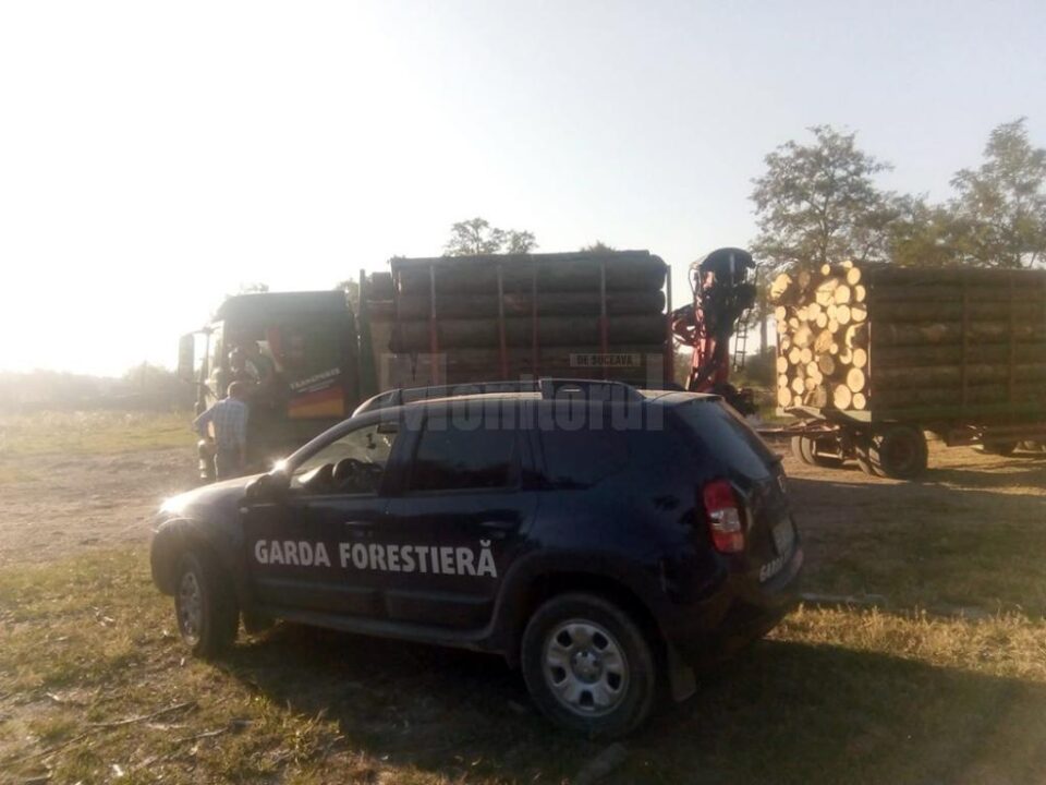 Lemne confiscate de Garda Forestiera