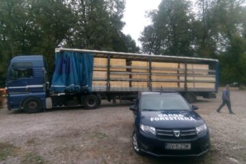 Trei transporturi ilegale de masă lemnoasă, depistate în zona Cornu Luncii
