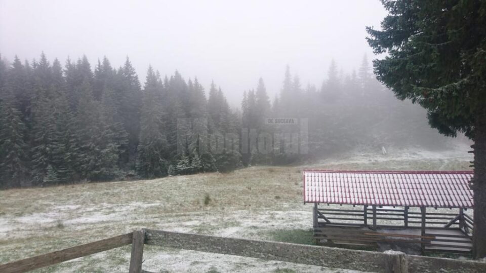 A căzut zăpada pe munte