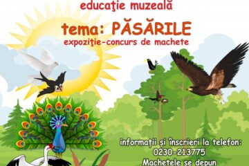 Expoziție-concurs de machete la Muzeul de Științele Naturii