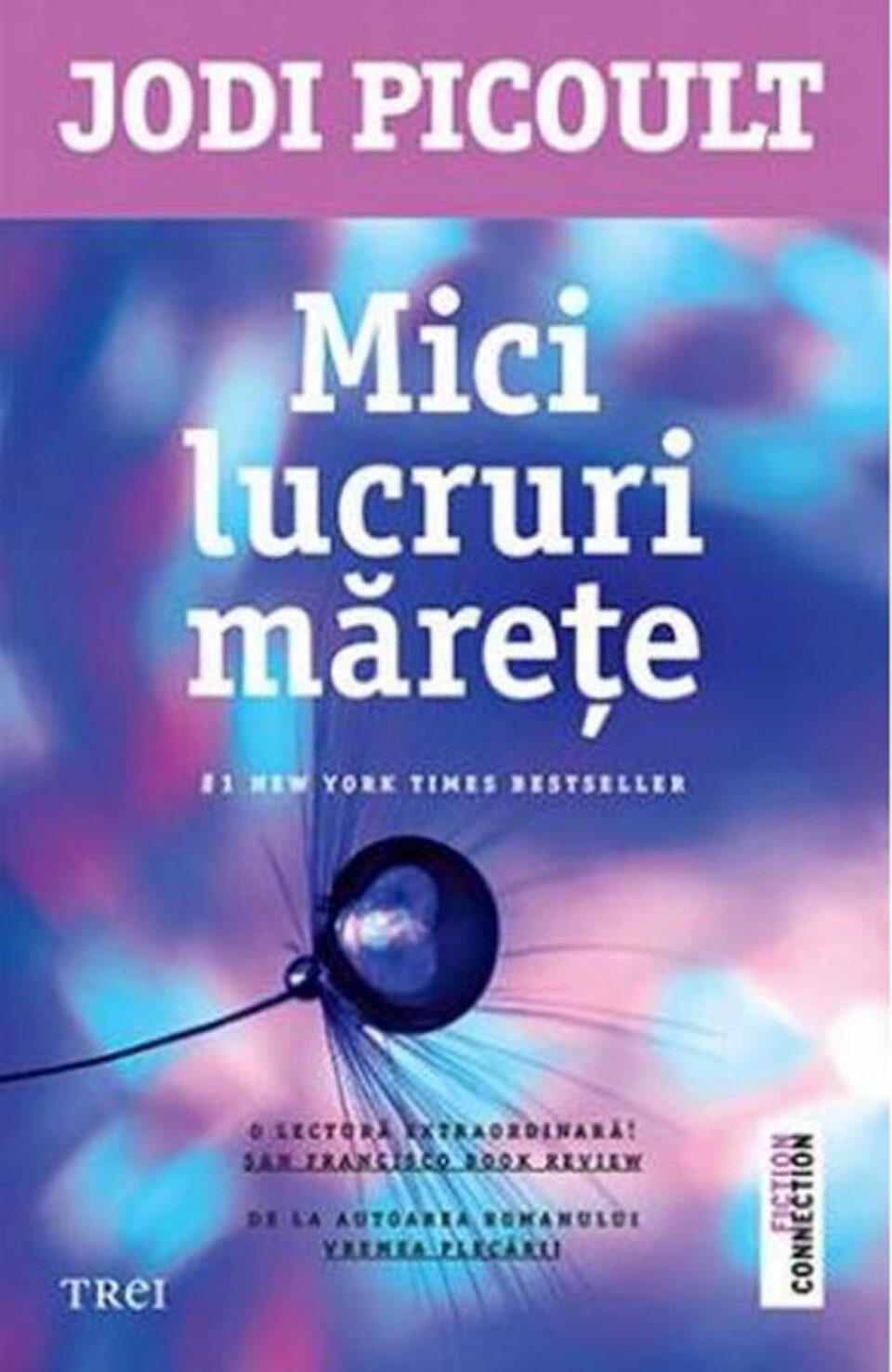 Jodi Picoult: „Mici lucruri mărețe”
