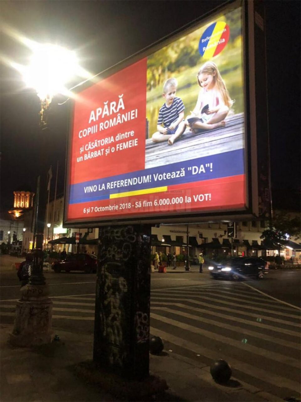 Panou electoral cu tricolor