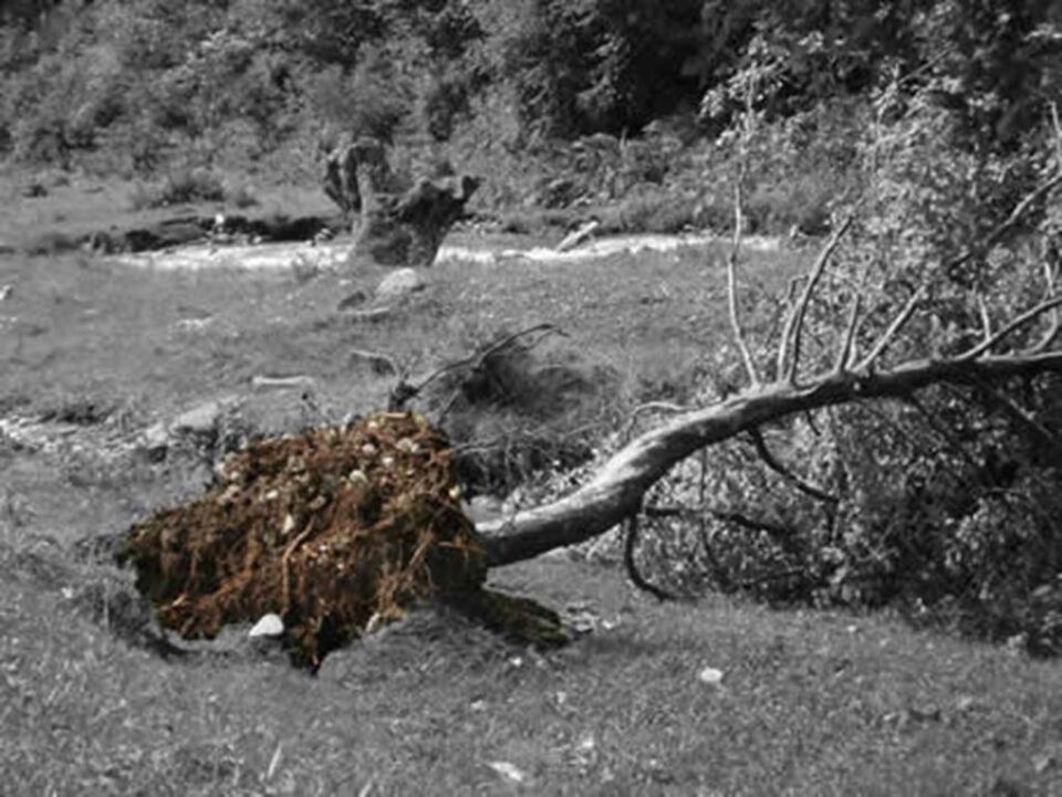„Cumpănă mare”