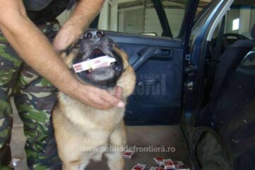 Câteva sute de pachete de țigări, descoperite de câinele polițist Nah