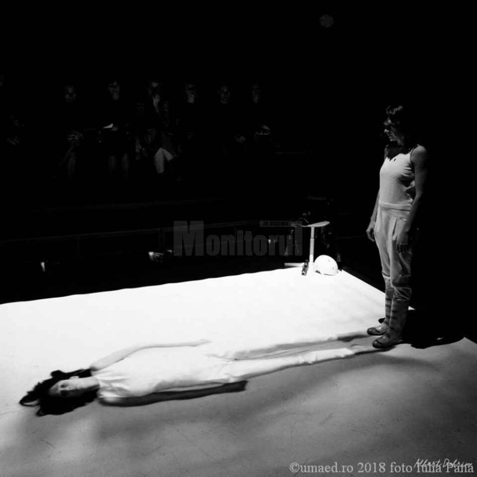 Spectacol de teatru, discuții libere și dezbatere despre autism, la Teatrul “Matei Vișniec”