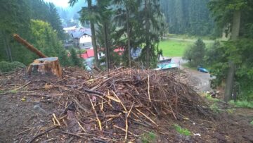 Imagine dezolantă, cu arbori tăiați și abandonați, lângă Chilia lui Daniil Sihastrul