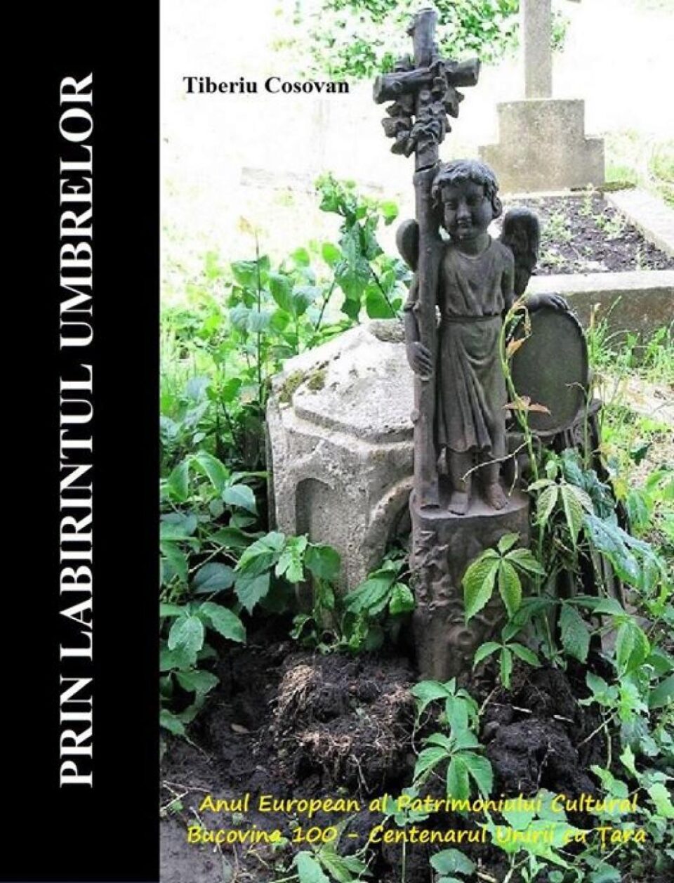 Ultima carte a lui Tiberiu Cosovan