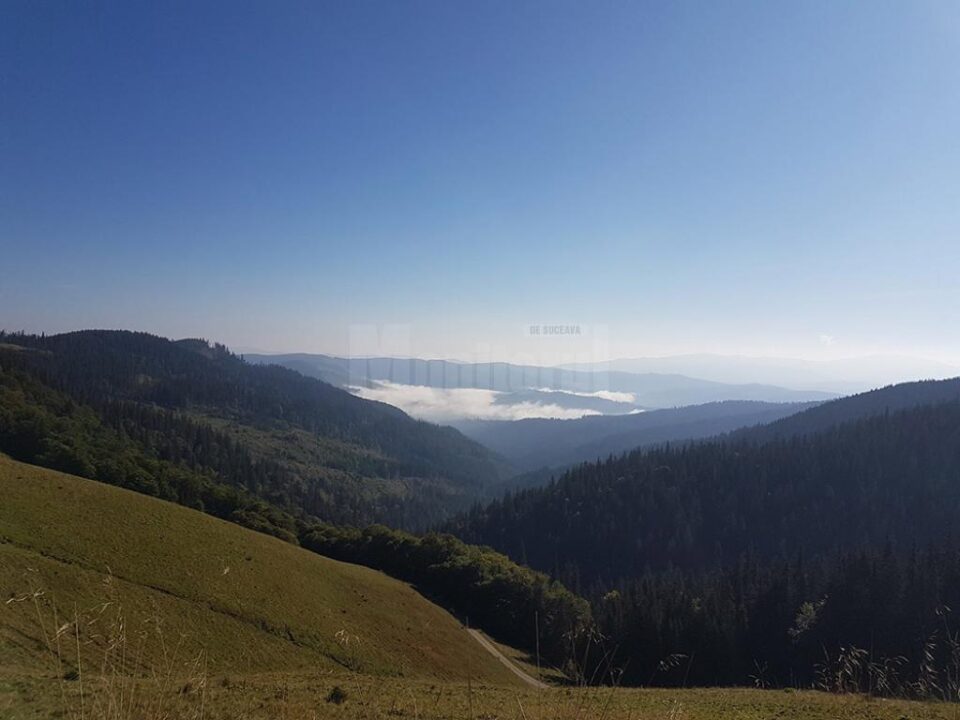 Țara Dornelor va fi promovată de unii dintre cei mai cunoscuți bloggeri din România