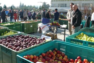 La Fălticeni, Târgul Mărului a ajuns la a XV-a ediție