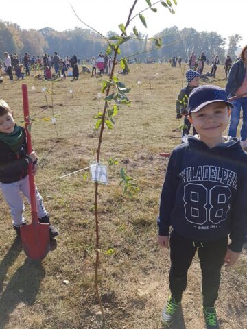 500 de voluntari au participat la o acțiune de împădurire a 2,5 hectare de teren defrișat la Adâncata