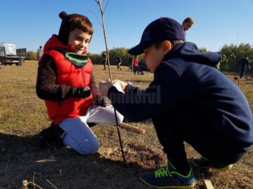 500 de voluntari au participat la o acțiune de împădurire a 2,5 hectare de teren defrișat la Adâncata