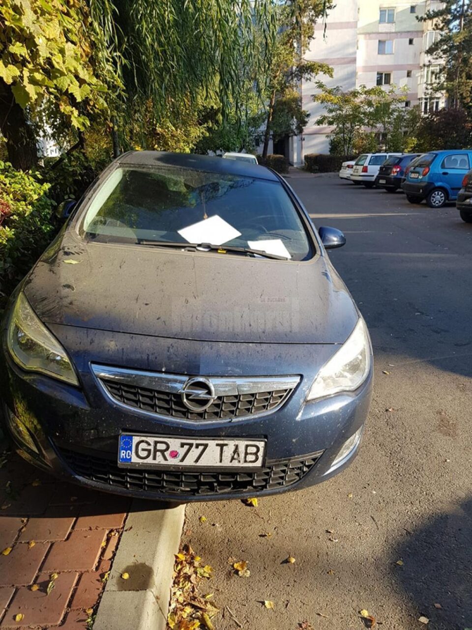Autoturismul a blocat complet aleea de acces