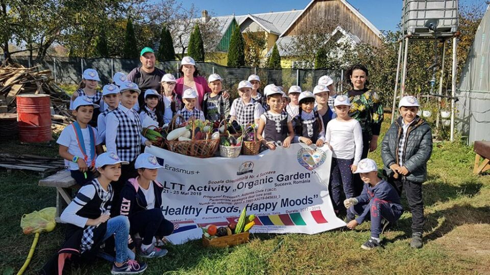 La Școala Nr. 4 Suceava s-au derulat o serie de activități pentru a sărbători Ziua Internațională a Alimentației