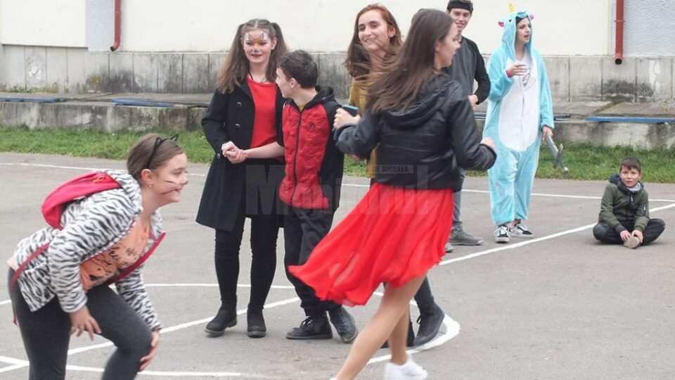 Activitați de voluntariat la Colegiul "Dragoș Vodă"
