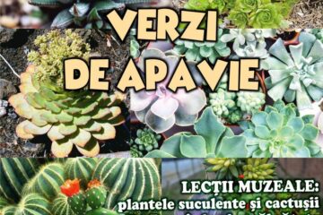 Lecția muzeală „Rezervoare verzi de apă vie”