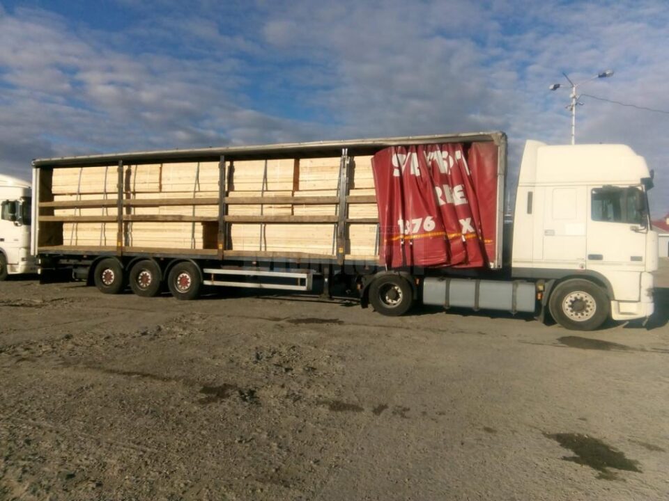 Transporturile ilegale de masă lemnoasă confiscate de Garda Forestieră Suceava