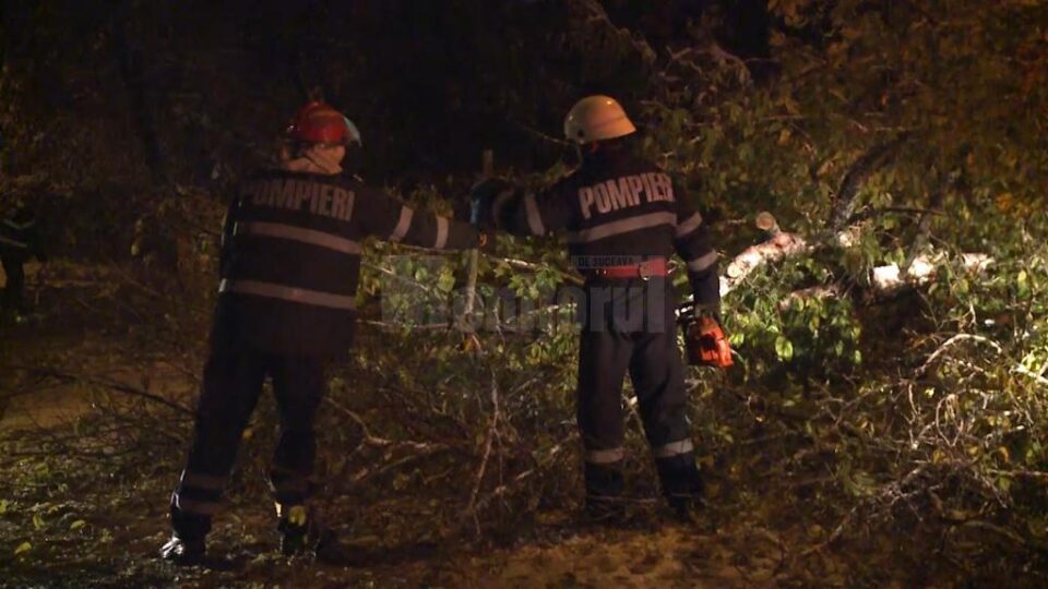 DN 17, blocat pe un sens de doi copaci rupți de vânt, joi seară