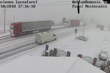 Iarna pe Mestecăniș