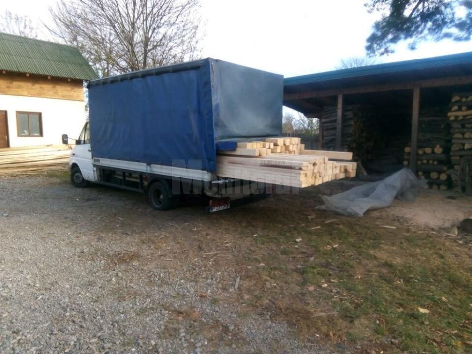 Transporturile ilegale de masă lemnoasă confiscate de Garda Forestieră Suceava