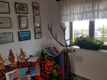 Sala „Cerbul din Corlata”