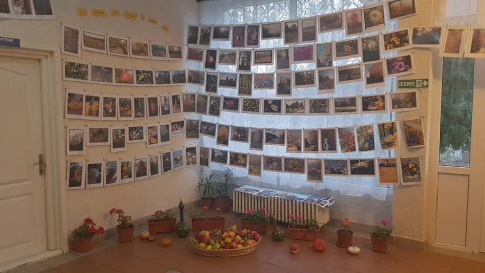 „Ce culoare are Toamna în școala mea?”