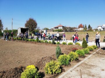 000 de puieți de arbuști decorativi, plantați la școlile din Preutești, de elevi și oameni din comunitate