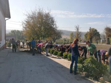 000 de puieți de arbuști decorativi, plantați la școlile din Preutești, de elevi și oameni din comunitate