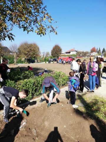 000 de puieți de arbuști decorativi, plantați la școlile din Preutești, de elevi și oameni din comunitate