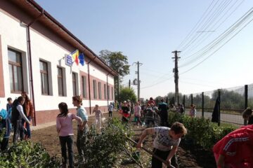 Peste 200 participanți au reușit să planteze 1000 de puieți de arbuști decorativi, la Preutești