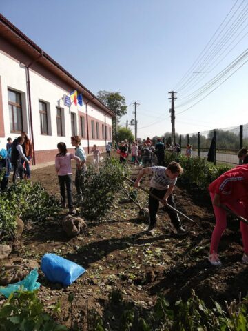 Peste 200 participanți au reușit să planteze 1000 de puieți de arbuști decorativi, la Preutești