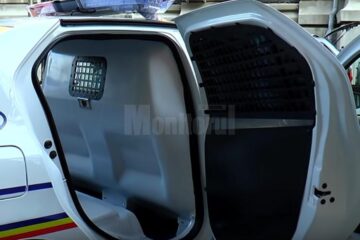 Noua Dacie Logan pentru arestați