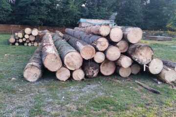 Întreaga cantitate de lemn a fost confiscată