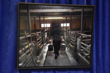 Pulsul vieții în mănăstirile din Bucovina, surprins de celebrul fotograf Oliver Mark, în 31 de instantanee