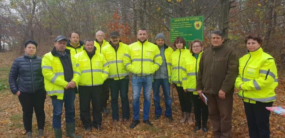 100 de puieți de paltin de munte plantați pentru aniversarea Centenarului Marii Uniri