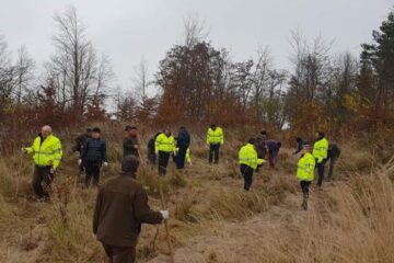 100 de puieți de paltin de munte, plantați de angajații Comisariatului Județean Suceava al Gărzii Naționale de Mediu și cei ai Ocolului Silvic Pătrăuți