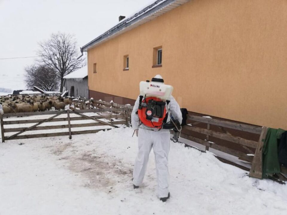 Exercițiu de simulare a apariției pestei micilor rumegătoare, care evoluează în Bulgaria