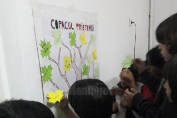 Activități de prevenire a abuzurilor și violenței asupra copiilor și tinerilor