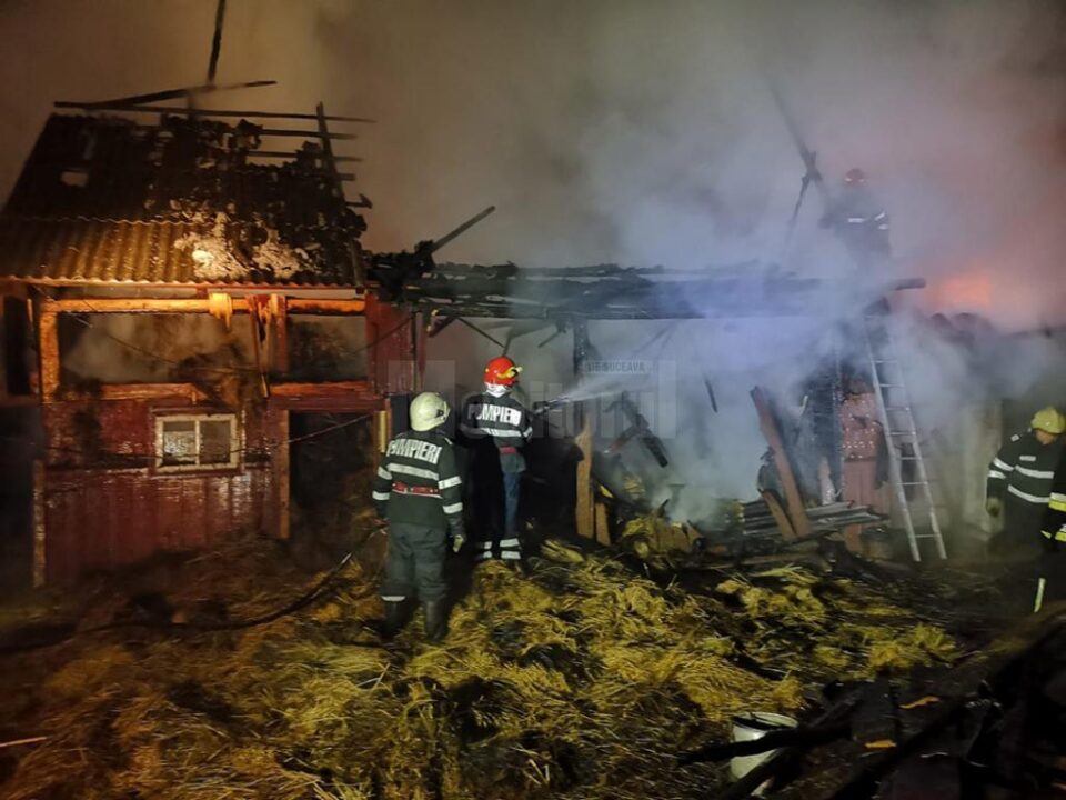 Pompierii s-au chinui cinci ore să stingă incendiul