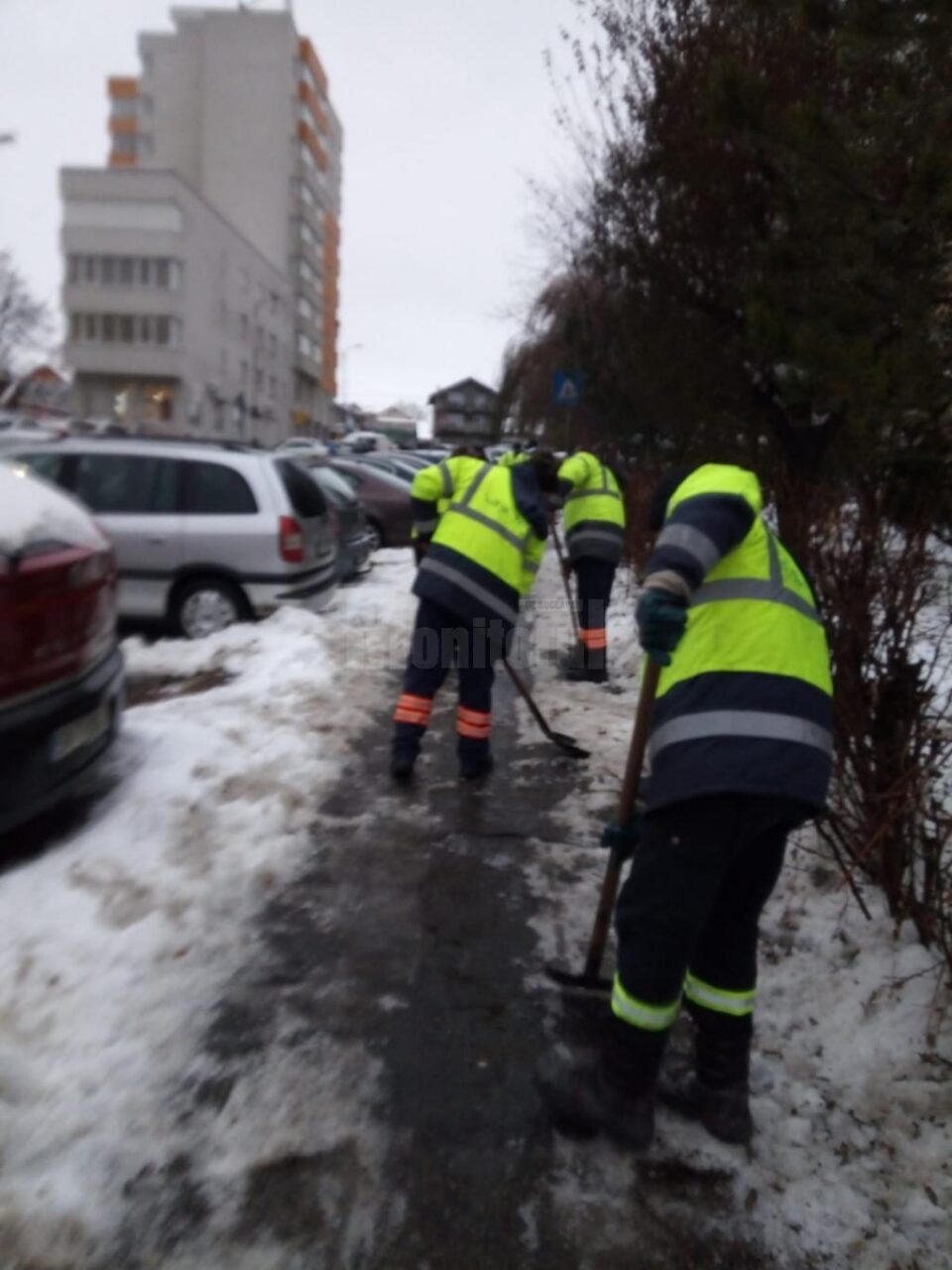 Cod galben de polei pe trotuarele Sucevei