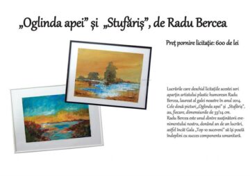„Oglinda apei” și „Stufăriș”