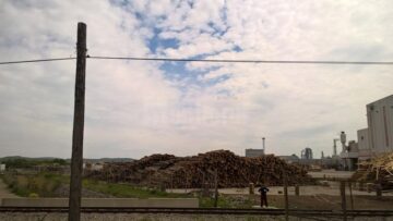 Cea mai bănoasă afacere din Suceava, a austriecilor de la Egger România