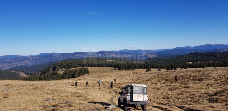 Activitățile de igienizare și de refacere a marcajelor, desfășurate de studenți ai USV în parcul Călimani