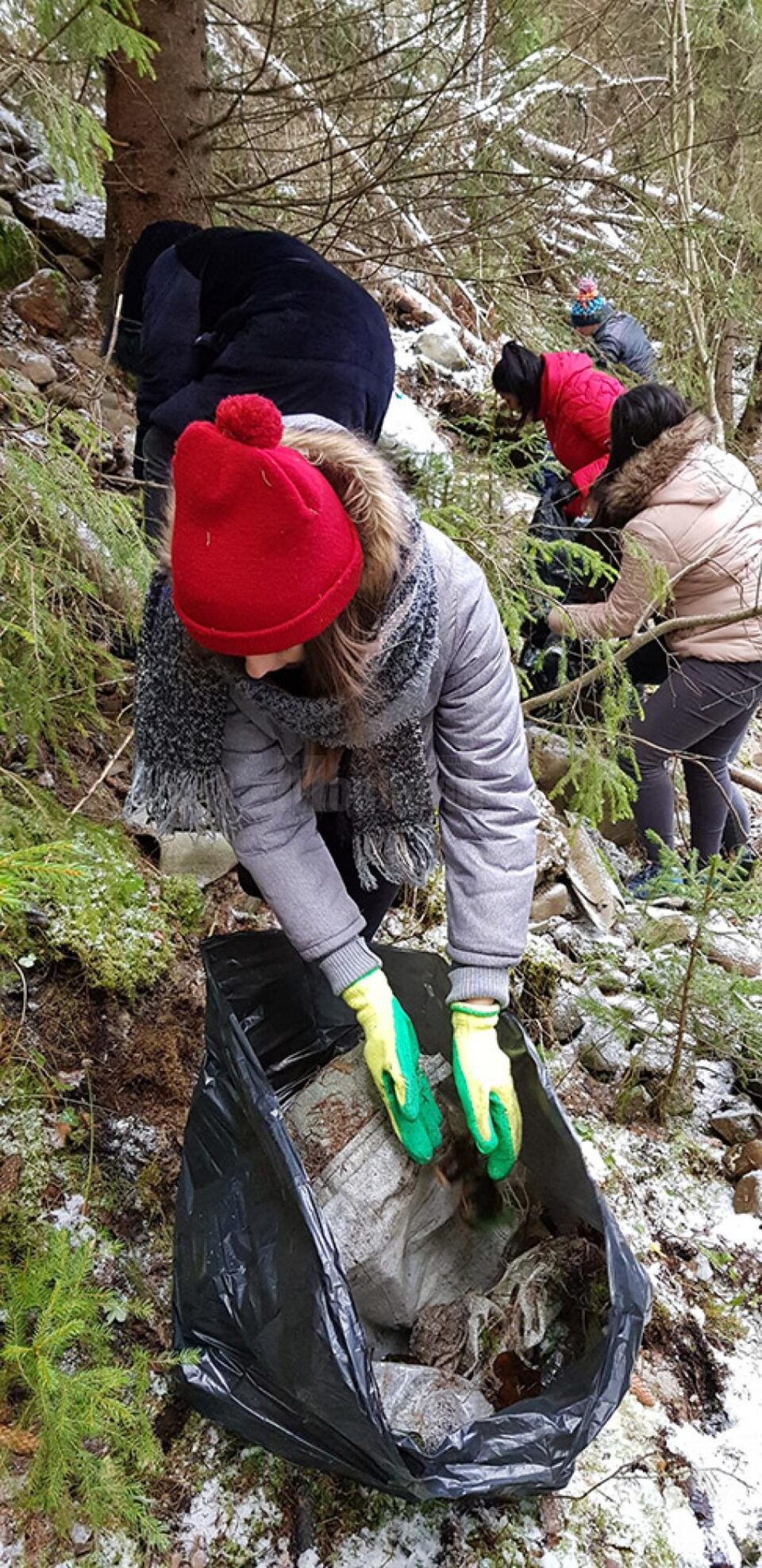 Acțiuni de igienizare și refacere a marcajelor, desfășurate de studenții USV în Parcul Național Călimani