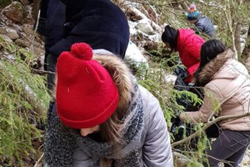Acțiuni de igienizare și refacere a marcajelor, desfășurate de studenții USV în Parcul Național Călimani Acțiuni de igienizare și refacere a marcajelor, desfășurate de studenții USV în Parcul Național Călimani