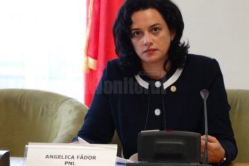 Deputatul PNL de Suceava Angelica Fădor Deputatul PNL de Suceava Angelica Fădor