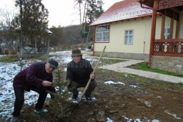 Petrea Dulgheru a plantat bradul împreună cu omologul sau veterinar din Maramureș